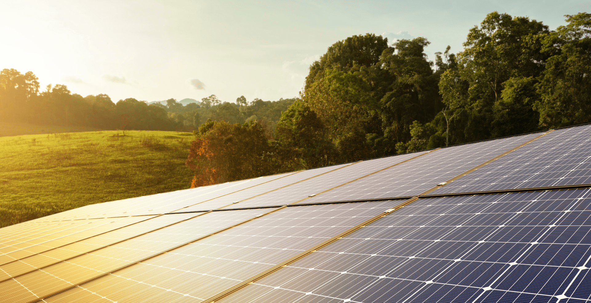 ARF Solar